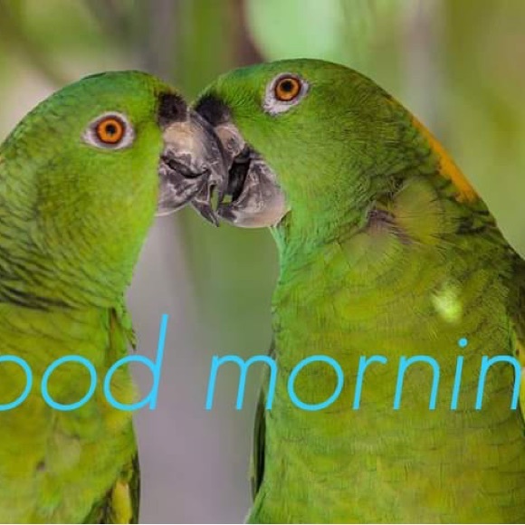 Posters - Picture 2 of 16